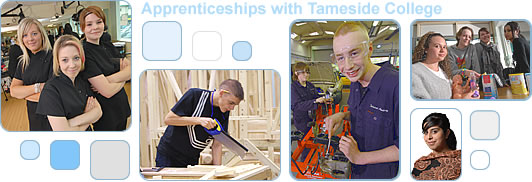 Various types of apprenticeships