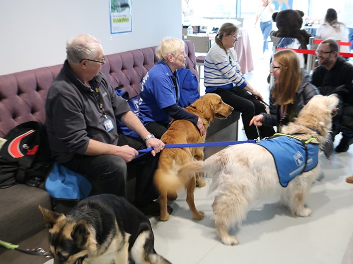 Five guide dogs attended the event to greet guests
